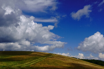 Fototapeta premium wonderful hilly mountain landscape with cows on clouds on the blue sky