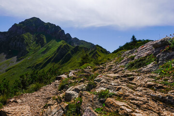 wonderful hiking path with rocks and stones to a green rocky mountain