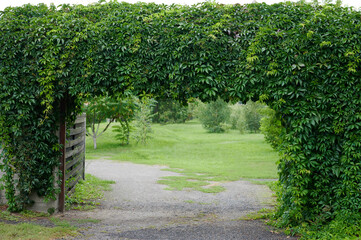 Green leaf arch gate