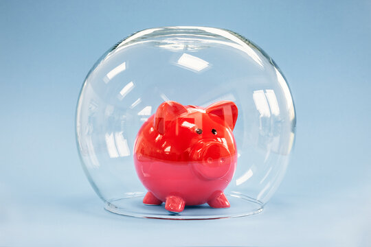 Protecting Your Savings, Goldfish Bowl Covering A Piggy Bank