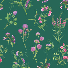 Seamless floral pattern with clover, mouse pea, comfrey, vetch, thistle, scabiosa flowers. Pink wildflower wallpaper. Botanical meadow summer textile pattern. Watercolor illustration isolated on green