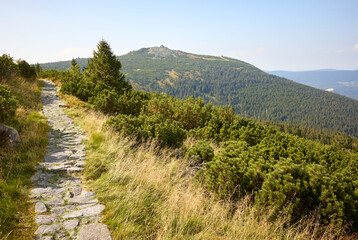 Fototapeta na wymiar Stone path trail in Giant Mountains, Poland.