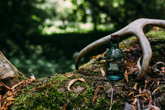 Glass bottles are filled with magic ingredients, potion. Mysterious forest.