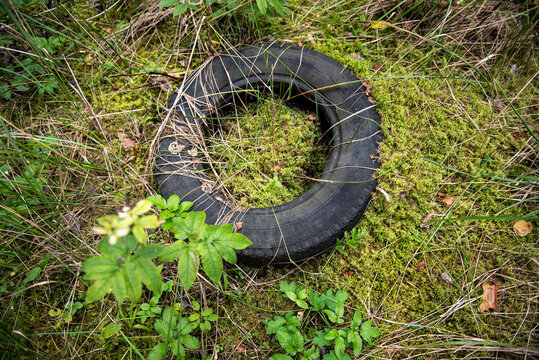 Random garbage junk items left in nature and forests. Old tyre.