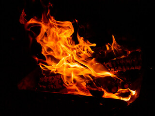 焚き火の炎