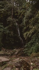 waterfall in the forest