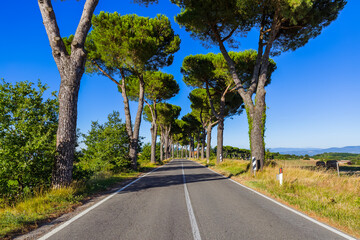 Fototapeta na wymiar Road in the Tuscany Italy