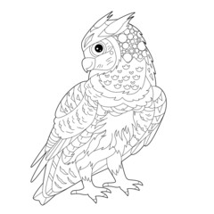 Contour linear illustration for coloring book with decorative owl. Beautiful predatory  bird,  anti stress picture. Line art design for adult or kids  in zen-tangle style, tatoo and coloring page.