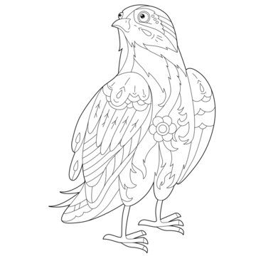 Contour linear illustration for coloring book with decorative falkon. Beautiful predatory  bird,  anti stress picture. Line art design for adult or kids  in zen-tangle style, tatoo and coloring page.
