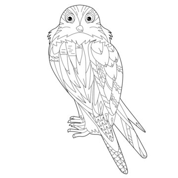 Contour linear illustration for coloring book with decorative falkon. Beautiful predatory  bird,  anti stress picture. Line art design for adult or kids  in zen-tangle style, tatoo and coloring page.