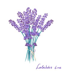 Painted bouquet of lavender flowers