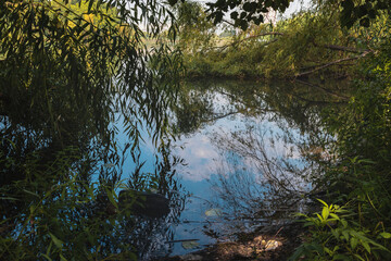 View of the city pond through the branches of trees on a sunny summer day. Summer landscape.