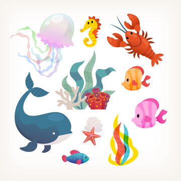 Collection of sea animals and plants. Fish lobsters mammals and sea weeds. Isolated vector images.