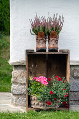 garden decoration in autumn with heather plants in walking boots