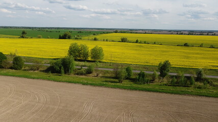 Fototapeta premium A plowed agricultural field, crops of rapeseed in the distance. Aerial view of farmland, landscape.