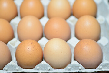Homemade free-range eggs prepared to take to the supermarket