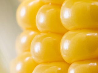 Corn cob close-up.
Fresh corn with golden-colored grains in a green peel.