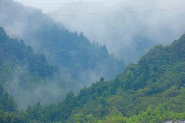 fog in the mountains