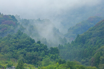 Fototapeta premium morning in the mountains