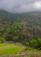 Scenic rural mountain landscape with rice terraces and forest under low clouds, Wangdiphodrang, Bhutan