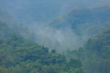 fog in the mountains
