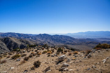 An overlooking view of nature in Joshua Tree National Park, California