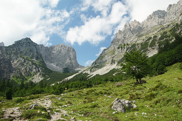 Fototapeta na wymiar Blick auf die schroffen Gipfel des Wilden Kaiser in Tirol