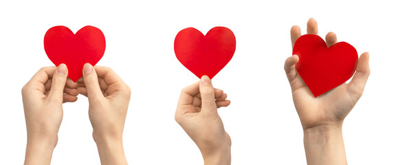 Organ donation concept. Banner, hand with red heart isolated on a white background. Copy space photo