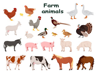 Big set of farm animals and domestic birds. Country pet. Isolated character on a white background. Vector illustration in a flat style.