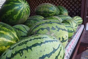 Large green striped watermelons. Fruit background on the counter in the market. Common watermelon...