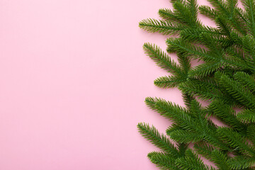 Christmas holiday background with copy space for advertising text. Fir branches on color background . Flat lay, top view