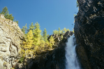 Scenic autumn landscape with vertical big waterfall and yellow trees at mountain top in sunshine. Powerful large waterfall in rocky gorge. High falling water and trees of golden colors in fall time.