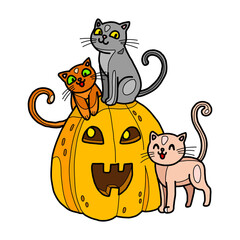 Kittens with pumpkin for halloween. Cute friends together spend holiday. Vector colorful clipart for halloween decoration, ready for print. Isolated on white.