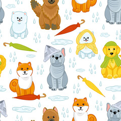 Seamless autumn pattern with dog breed: shepherd, bulldog, terrier, chihuahua. Vector cute pattern with adorable pets for wrapping paper, print, wallpaper on white background.