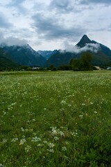 Fototapeta premium Svinjak - Triglav National Park - Julian Alps - Slovenia