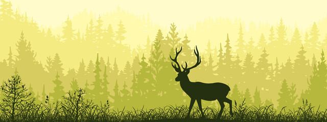 Horizontal banner. Silhouette of deer standing on meadow in forrest. Silhouette of animal, trees, grass. Magical misty landscape, fog. Green, black illustration. 