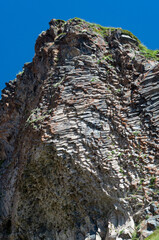 A steep cliff of gray-brown sand with holes of swallow nests.
