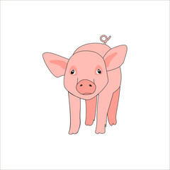  cute farming mammal fat rural pig farm animal piglet on white pink black contour little swine Vector realistic cartoon domestic livestock