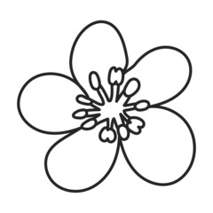 Pear vector icon.Outline vector icon isolated on white background pear.