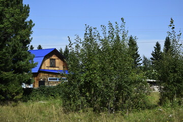 Fototapeta premium house in the woods