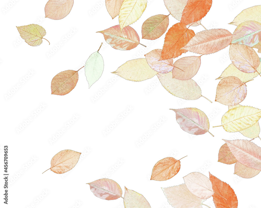 Wall mural flat lay composition with stylized autumn leaves and copy space on white background for fall season 