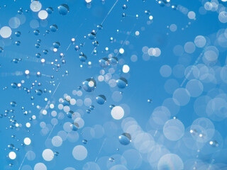 Dew drops on spider mesh, net - macro photography