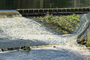 White water cascades over a wide weir with a narrow flow along the river Wharfe in Otley: 