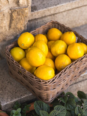 Wicker basket full of ripe yellow lemons on the italian street. Advertising for lemon juice, fruits and citrus fruits. Vegan food. Top view