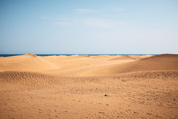 Fototapeta na wymiar Canary dunes desert landscape