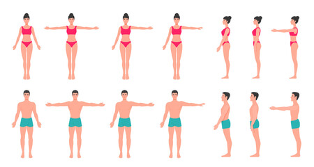 Young adult human body anatomy. People full-length figures, a man and a woman. Standing silhouette. A vector cartoon illustration.