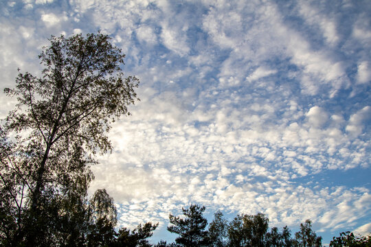 moln p&aring; himlen 하늘에 구름 clouds in the sky