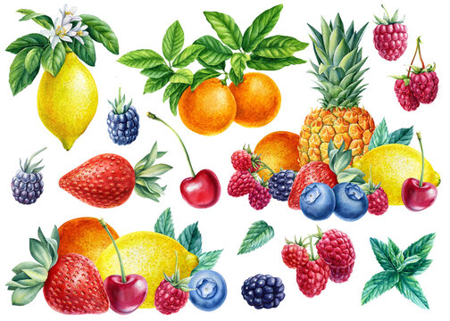 Sweet fruits and berries. Watercolor lemon, tangerine, pineapple, raspberry, cherry, blackberry and strawberry and mint