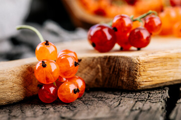 Ripe red currant berries in a bowl. Fresh red currants on a dark rustic wooden table. Background with space to copy