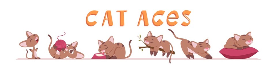 Cat growing. Kitten funny characters in various poses domestic animals playing exact vector illustrations